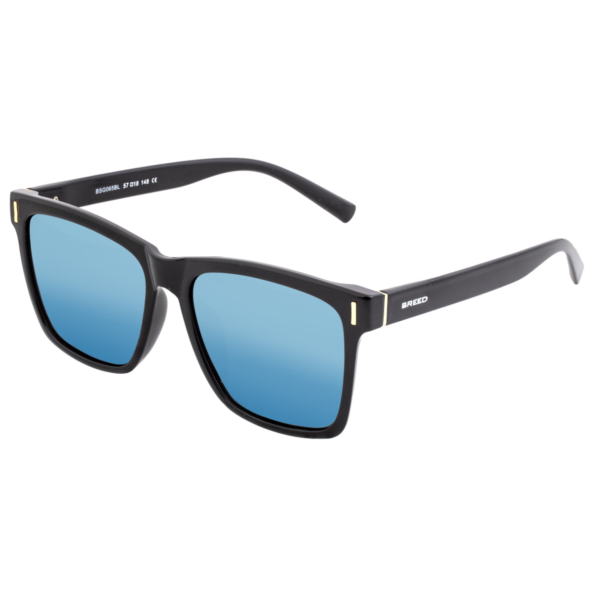 Breed Pictor Polarized Sunglasses - Black/Blue - BSG065BL